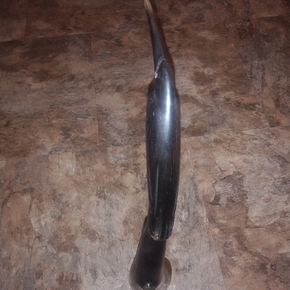 Art 🐦 - Picture 3 of 3